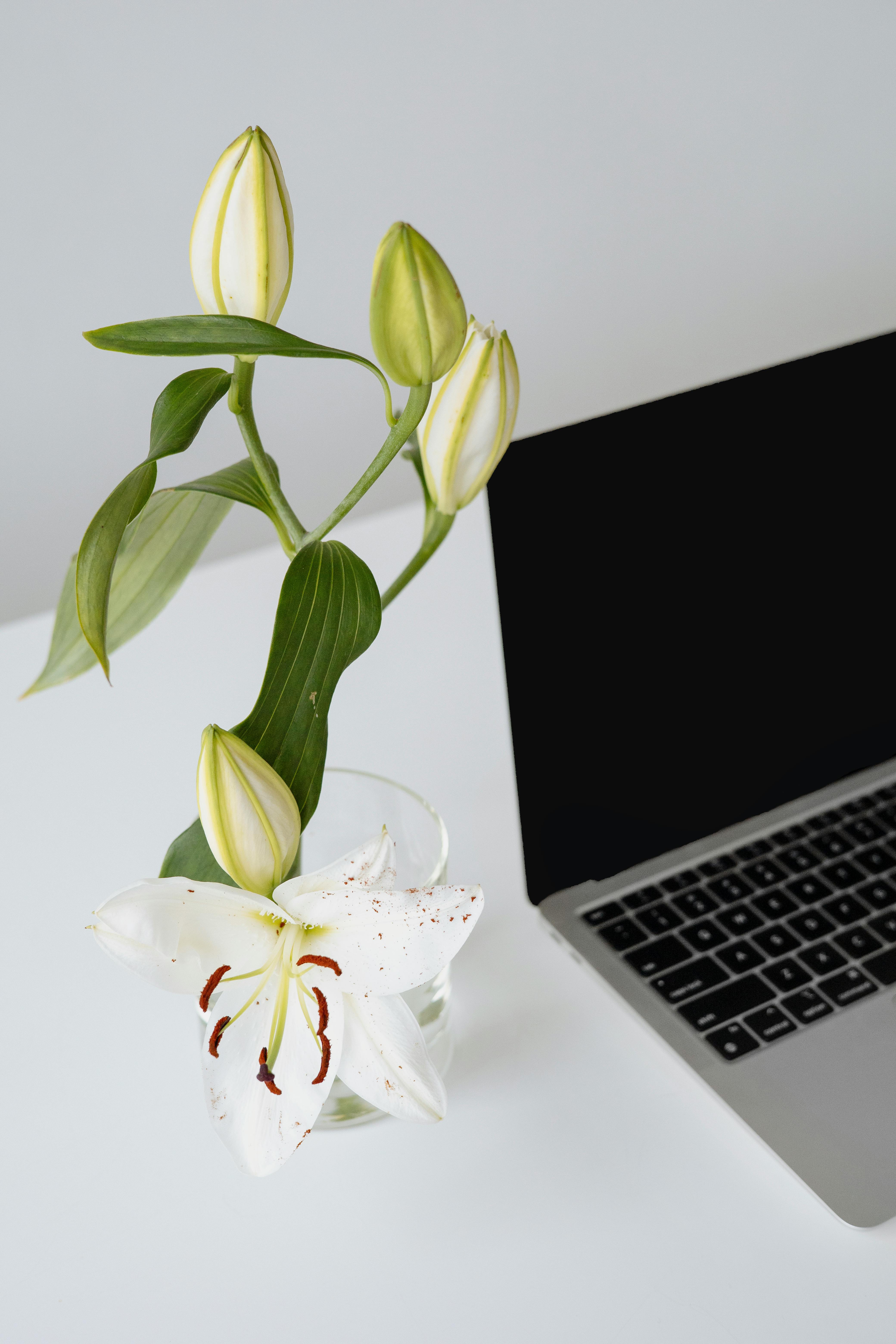 Appareil photo sur bureau, illustration principale du site Code Création