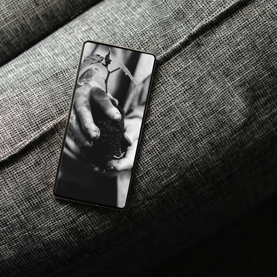EARL Marcoz, mockup projet